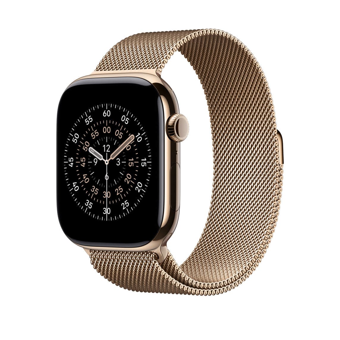 Bracelet Apple Watch 46 mm
